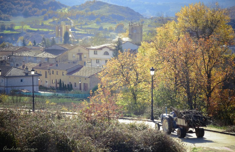 montorio