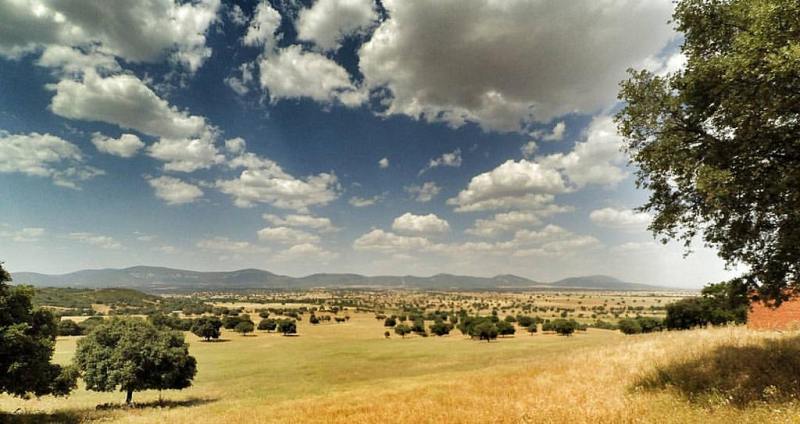 Resultado de imagen de parque nacional de cabañeros