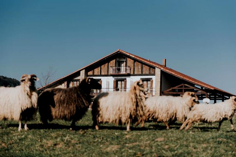 25 Casas Rurales Con Granja Para Ir Con Ninos