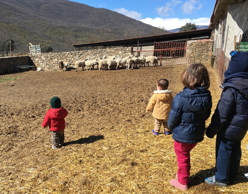 Electricista Honesto chico 25 casas rurales con granja para ir con niños