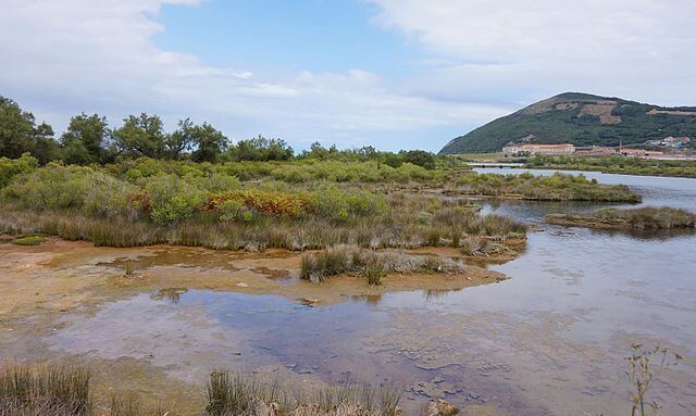 parque natural cantabria marismas santoña