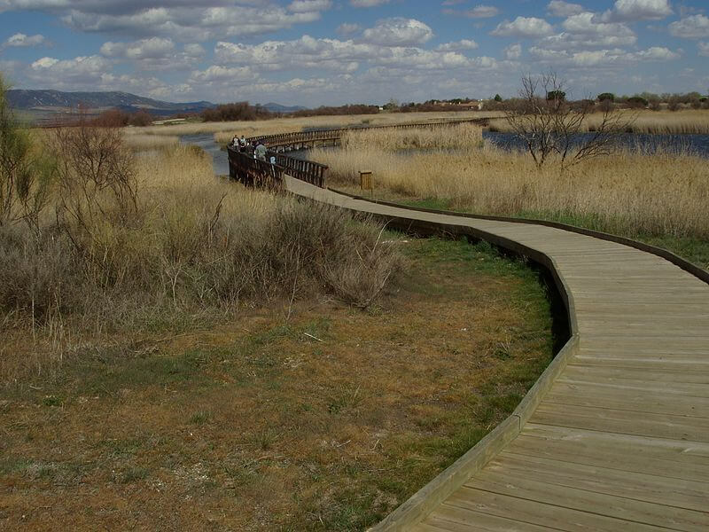 Las tablas de daimiel donde esta