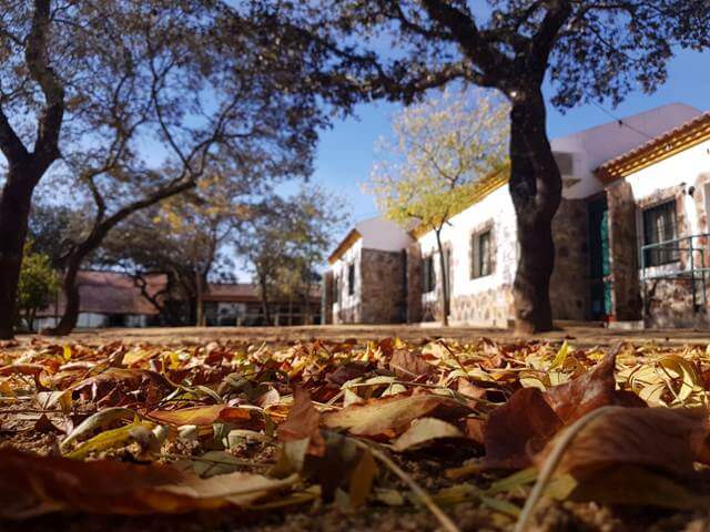 encinar escardiel sevilla encinar escardiel sevilla