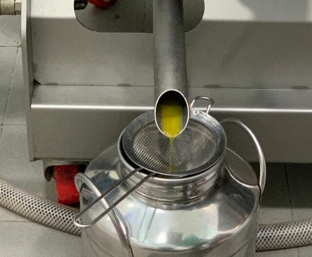 producir aceite oliva oleoturismo