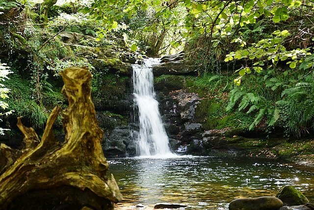 Canal que conduce agua para riego