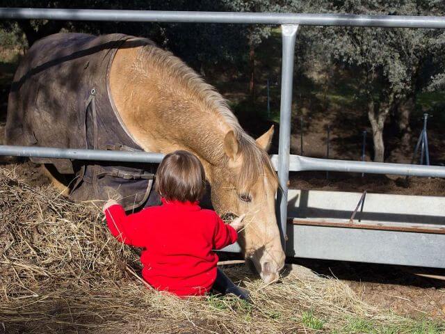 casas rurales ninos andalucia cortijo tomillares casas rurales ninos andalucia cortijo tomillares
