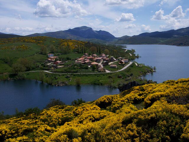 alba cardanos montana palentina alba cardanos montana palentina