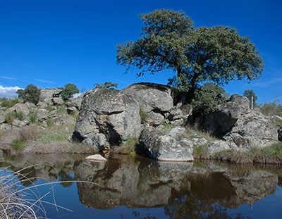 parque natural cornalvo badajoz parque natural cornalvo