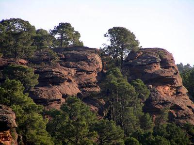 pinares rodeno