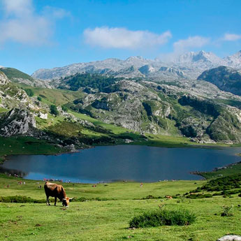 Casas rurales en Asturias