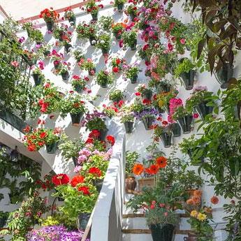 Casas rurales en Córdoba