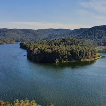Casas rurales en Alto Penedés