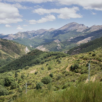 Casas rurales en Montaña Palentina
