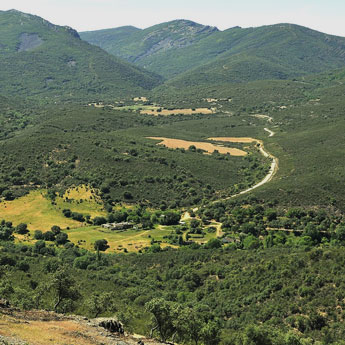Casas rurales en Parque Nacional de Cabañeros