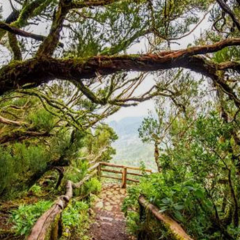 Casas rurales en Parque Nacional de Garajonay