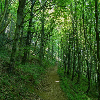 Casas rurales en Parque Natural de Pagoeta