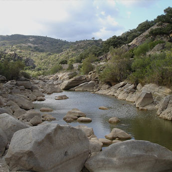 Casas rurales en Parque Natural Los Alcornocales