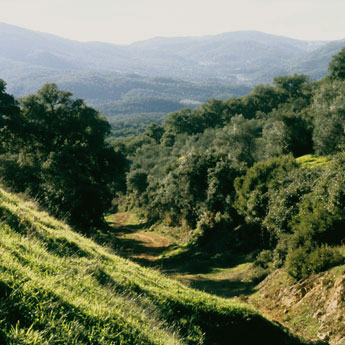 Casas rurales en Sierra de Aracena y Picos de Aroche