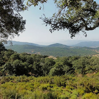 Casas rurales en Sierra de Cádiz