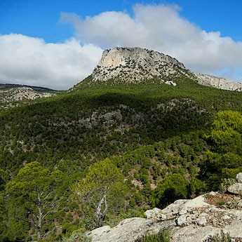 Casas rurales en Sierra de Espuña