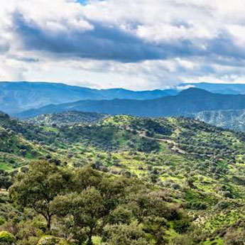 Casas rurales en Sierra Morena
