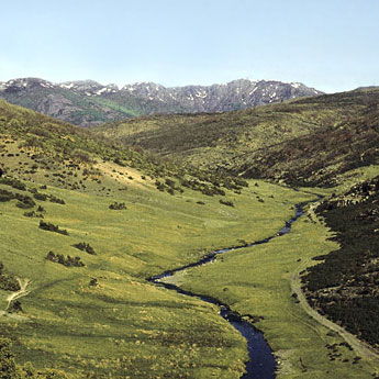 Casas rurales en Sierra Norte de Guadalajara