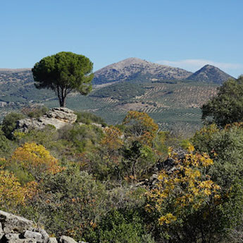 Sierra Sur